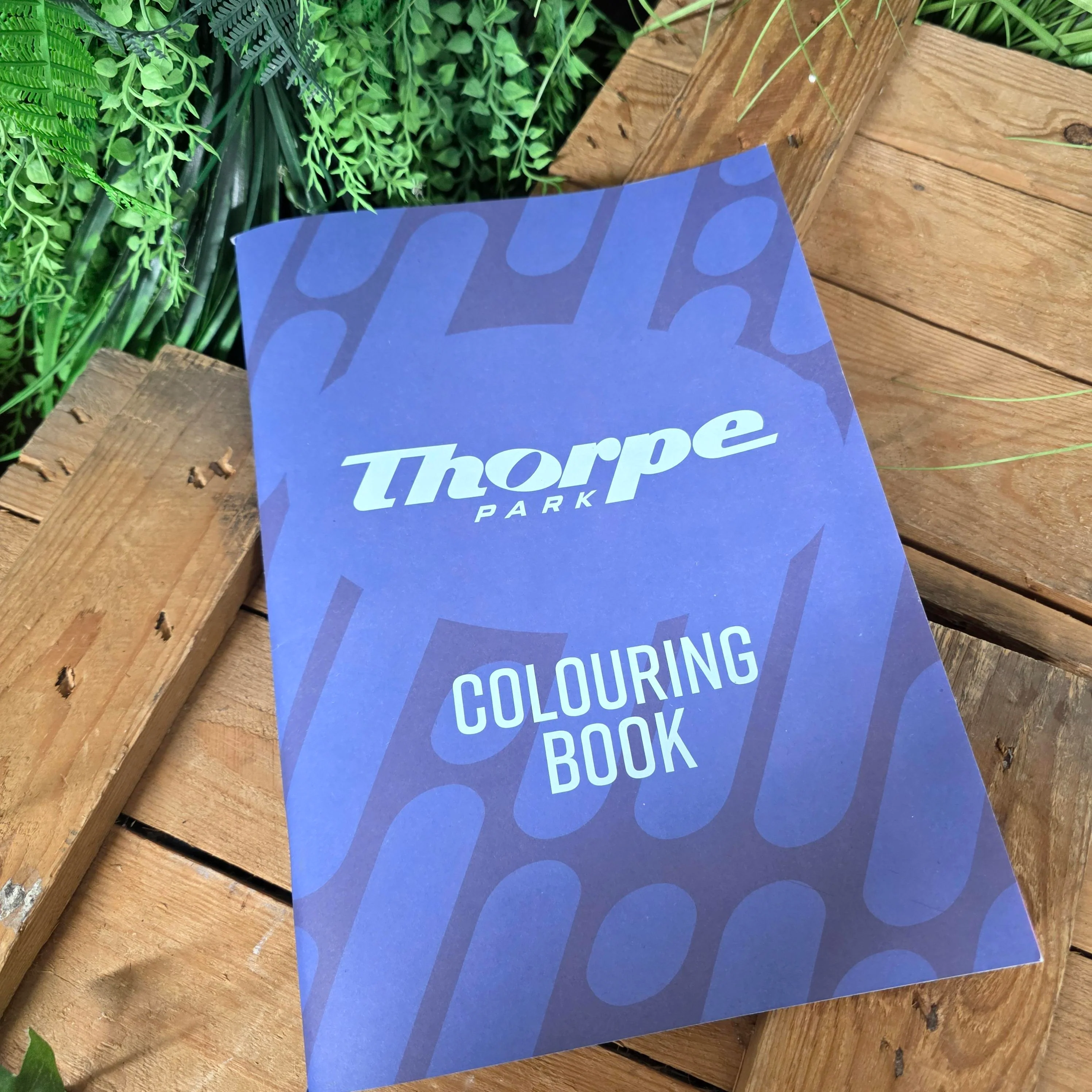 Thorpe Park Colouring Book